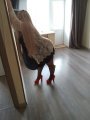 Лада: +7 (987) 018-99-64